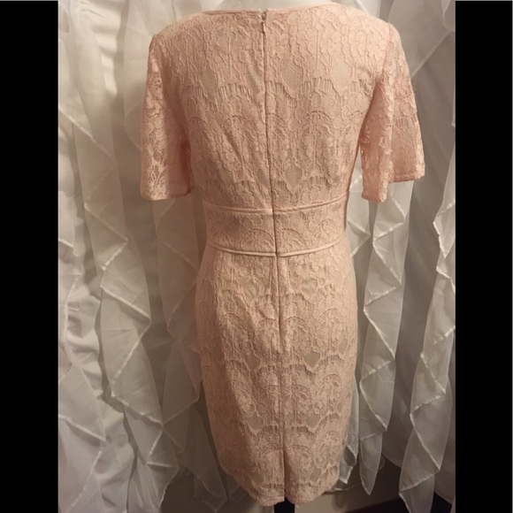 🆕 Adrianna Papell, 🌺” Lovely” in Blush, Size 8 - Picture 4 of 7